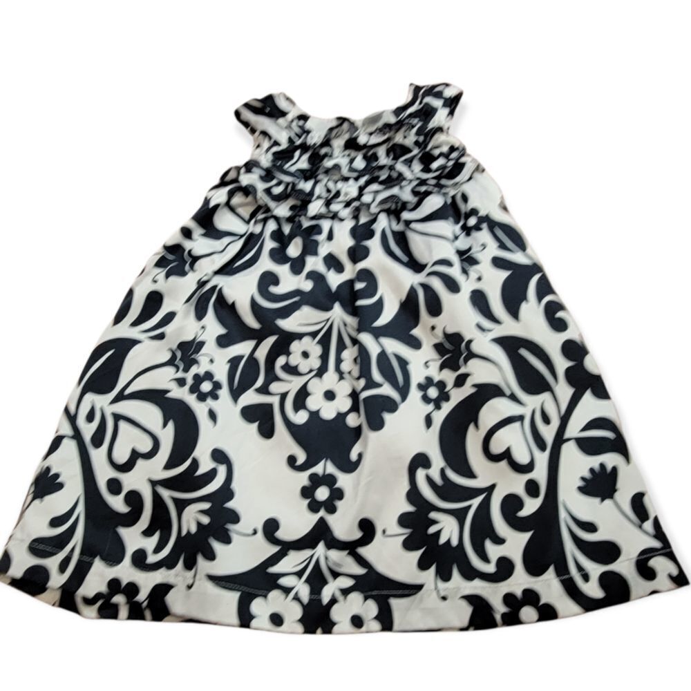 Carter's dress 2T